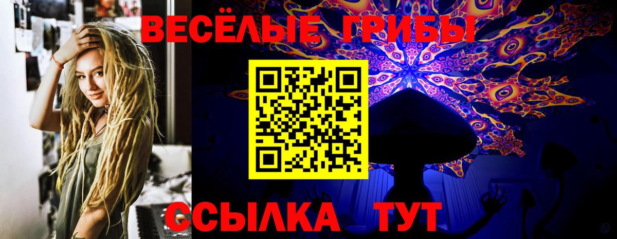 Троицк  Галлюциногенные грибы мицелий  где продают наркотики  Вход с VPN 